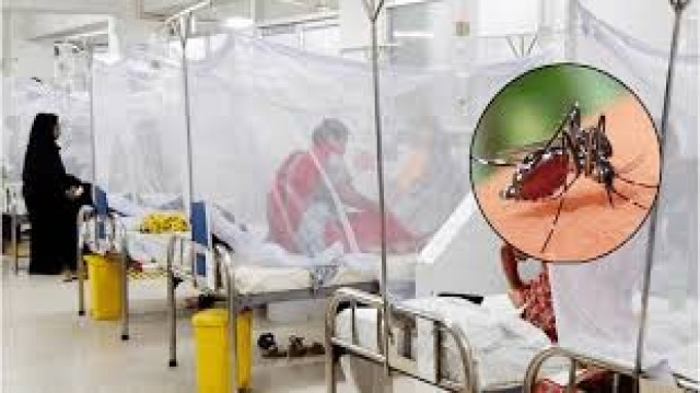 ডেঙ্গুতে ২৪ ঘন্টায় মৃত্যু ৫, হাসপাতালে সহস্রাধিক